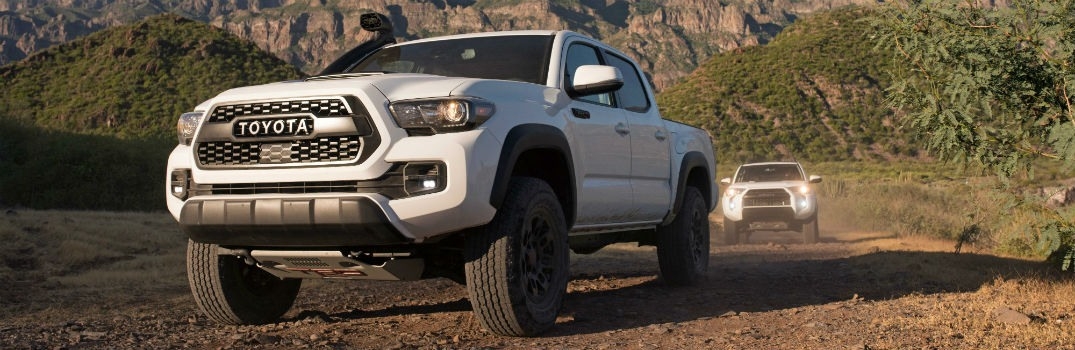 The 2019 Tacoma Mpg Price