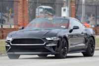 The 2019 Ford Mustang New Release